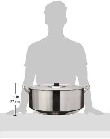Arrocera Vasconia 55 cm con Tapa Aluminio 33 L Plata