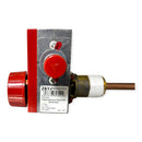 Termostato Boiler Universal Rheem AP23303A Piezoeléctrico