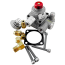 Válvula de Seguridad Sencilla Robertshaw 1720-802