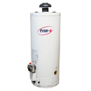 Boiler 60 Lts Gas Lp  Iusa Primo