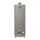 Calentador Deposito Rheem 49 Lts Lp